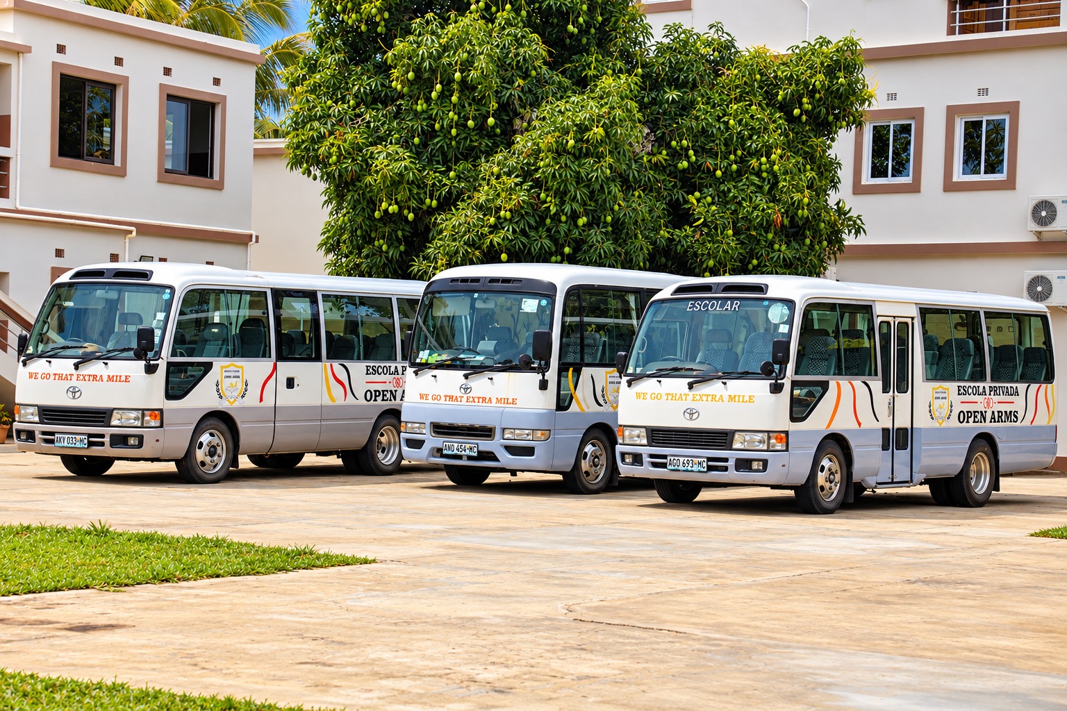 Buses in the school yard